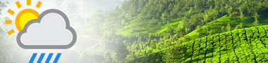 Guest of munnar travel packages